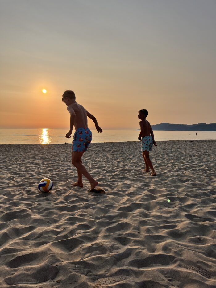 Summer, sommerferie, svanenservice.